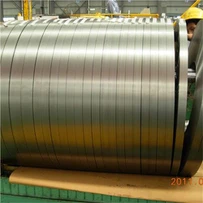 50JN270 SILIKONIS PLIENAS
